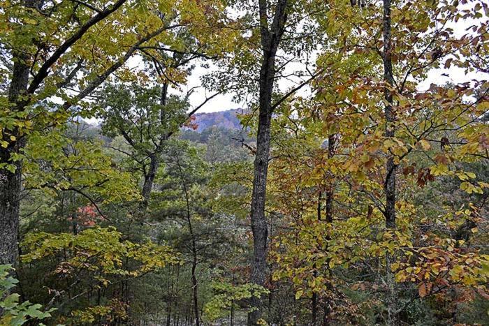 Mountain Magic Villa Gatlinburg Exterior photo